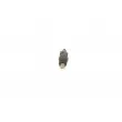 BOSCH 0 432 217 248 - Porte-injecteur