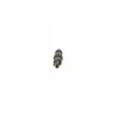BOSCH 0 432 217 248 - Porte-injecteur