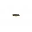 BOSCH 0 432 217 248 - Porte-injecteur