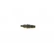 BOSCH 0 432 217 310 - Porte-injecteur