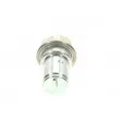 BOSCH 0 438 170 004 - Accumulateur de pression, pression de carburant