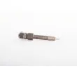 BOSCH 0 445 110 125 - Injecteur