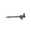 BOSCH 0 445 110 555 - Injecteur