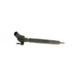 BOSCH 0 445 117 019 - Injecteur