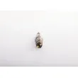 BOSCH 0 445 120 121 - Injecteur