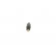 BOSCH 0 986 430 244 - Porte-injecteur