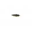BOSCH 0 986 430 244 - Porte-injecteur