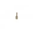 BOSCH 1 417 010 906 - Nez d'injecteur