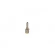 BOSCH 1 417 010 923 - Nez d'injecteur