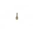 BOSCH 1 417 010 926 - Nez d'injecteur