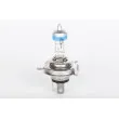 BOSCH 1 987 301 077 - Ampoule