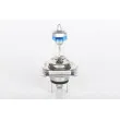 BOSCH 1 987 301 077 - Ampoule