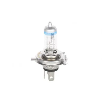 Ampoule BOSCH 1 987 301 160