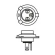 BOSCH 1 987 301 160 - Ampoule