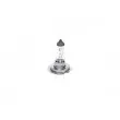 BOSCH 1 987 302 091 - Ampoule