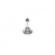 BOSCH 1 987 302 091 - Ampoule