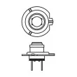 BOSCH 1 987 302 170 - Ampoule, projecteur longue portée