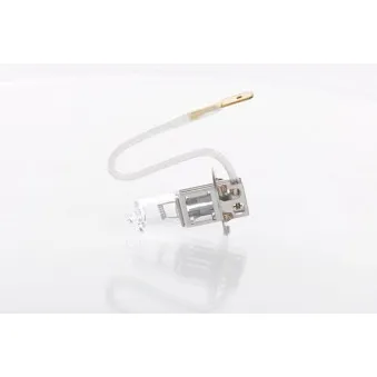 Ampoule, projecteur antibrouillard BOSCH 1 987 302 732