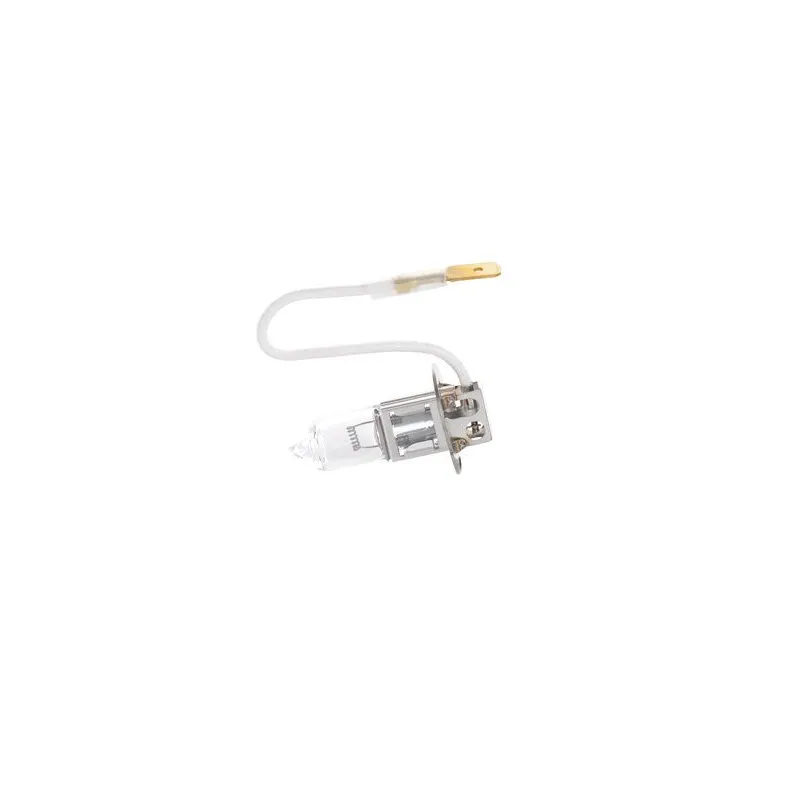 Ampoule BOSCH 1 987 302 861 - Visuel 0