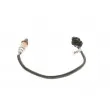 BOSCH F 00H L00 454 - Sonde lambda