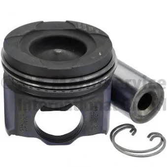 KOLBENSCHMIDT 41101960 - Kit de réparation, Piston/Chemise de cylindre