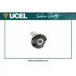 UCEL 10501 - Suspension, corps de l'essieu arrière 