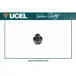 Suspension, radiateur UCEL [10794]