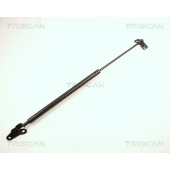 Vérin de hayon, de coffre KAWE [8710 13209]