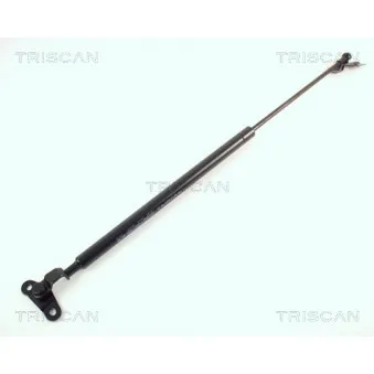 Vérin de hayon, de coffre KAWE [8710 13210]