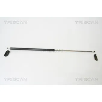 KAWE 8710 13252 - Vérin de hayon, de coffre