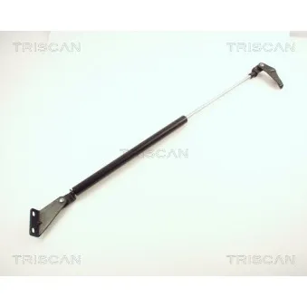 KAWE 8710 14218 - Vérin de hayon, de coffre