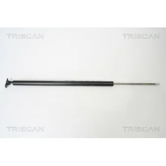 Vérin de hayon, de coffre KAWE [8710 43214]