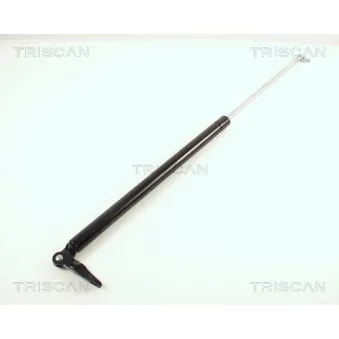 KAWE 8710 68203 - Vérin de hayon, de coffre