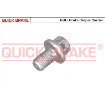 KAWE Q 11613 - Vis, étrier de frein