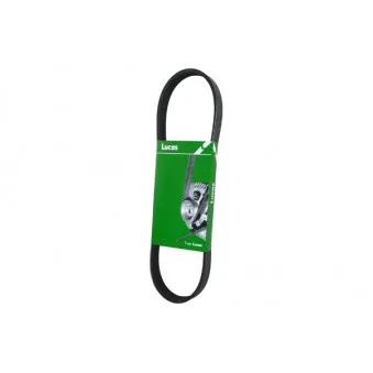 LUCAS 6PK1675L - Courroie trapézoïdale à nervures