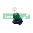 Ampoule, feu de jour LUCAS [LLB197]