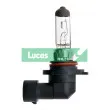 Ampoule, projecteur antibrouillard LUCAS [LLB710]