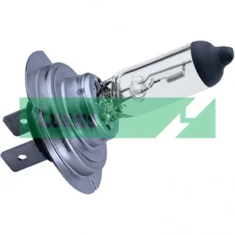 Ampoule, projecteur longue portée LUCAS LLB775P