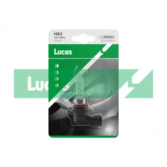LUCAS LLB9005P - Ampoule, projecteur longue portée