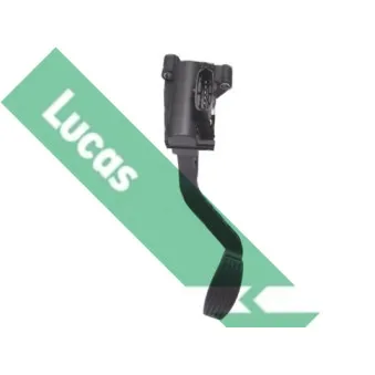 Capteur, position d'accelerateur LUCAS [LSP6512]