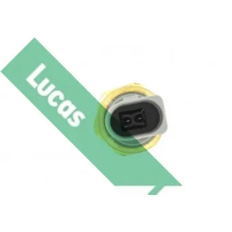 LUCAS SOB986 - Interrupteur à pression d'huile, direction assistée