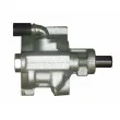 Pompe hydraulique, direction WAT [BRN67S]