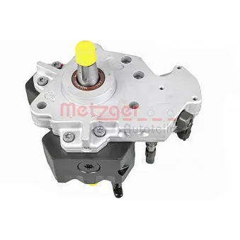 Pompe à haute pression METZGER [0830095]