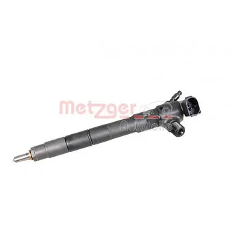 Injecteur METZGER OEM 65101006001