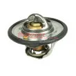 METZGER 4006296 - Thermostat d'eau