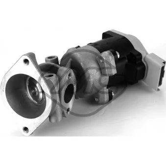 Soupape, réaspiration/controle des gaz d'échappement Metalcaucho OEM LR006988