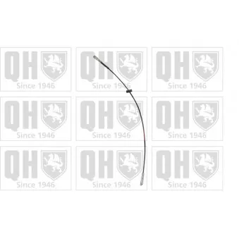 Tirette à câble, frein de stationnement QUINTON HAZELL OEM 2014200485 Tirette à câble, frein de stationnement QUINTON HAZELL OEM 2014200485