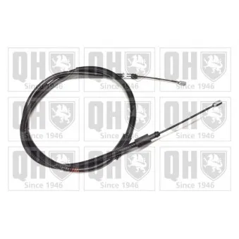 Tirette à câble, frein de stationnement QUINTON HAZELL OEM 9628847180