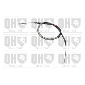 Tirette à câble, frein de stationnement QUINTON HAZELL OEM 60813764