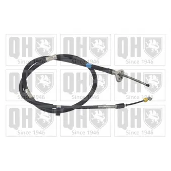 Tirette à câble, frein de stationnement QUINTON HAZELL OEM 4643020520